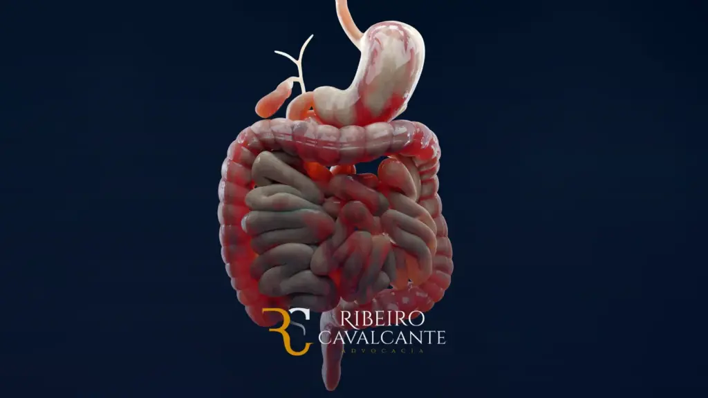 Modelo 3D detalhado do sistema digestivo humano